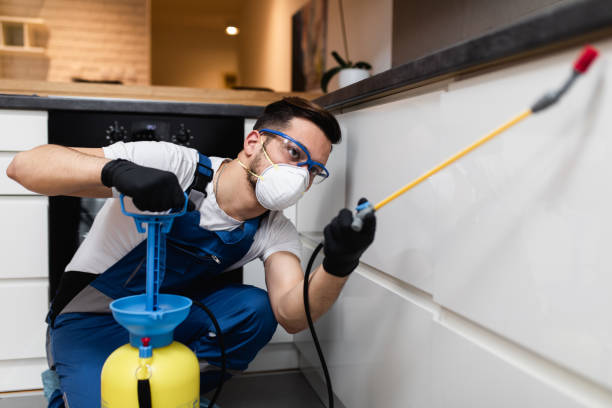 Best Emergency Pest Control  in Glassmanor, MD